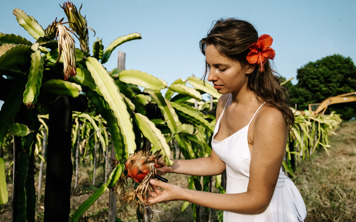 Women Field Organic Exotic Fruit Seeds - Pitaya Shop - Dragon fruit