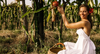 Buy Organic Pitaya Seeds